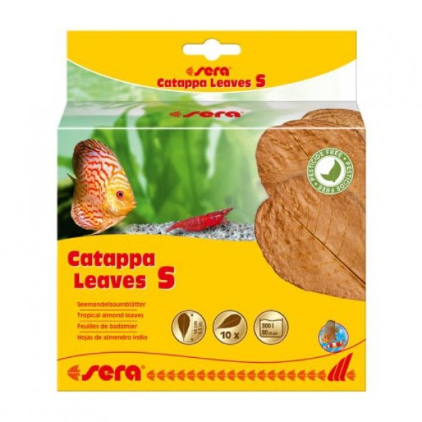 Sera Catappa Leaves Hint Bademi Yaprağı S 14 Cm (10 Adet) ürün görseli 1