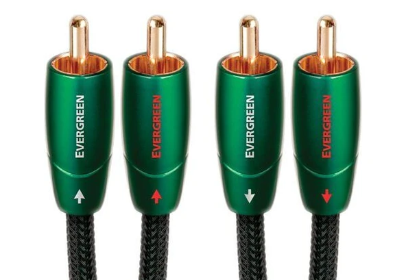 Audioquest Evergreen RCA Kablo 1 mt - Resim 2