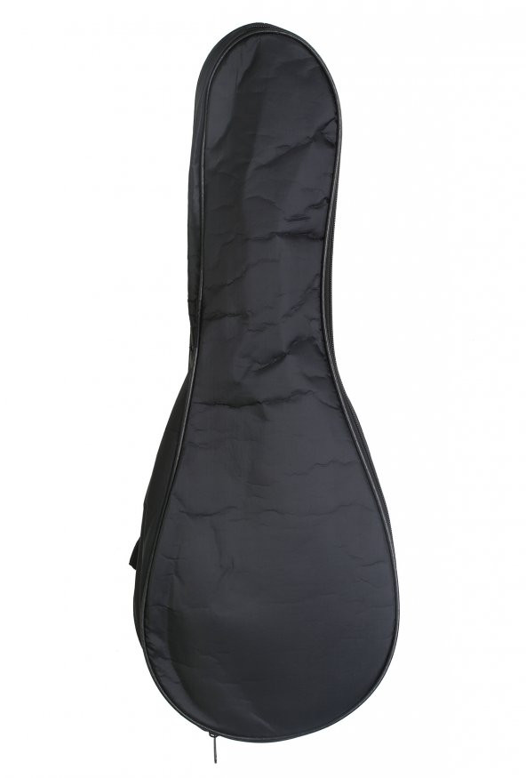 SOPRANO UKULELE KILIFI ürün görseli 1