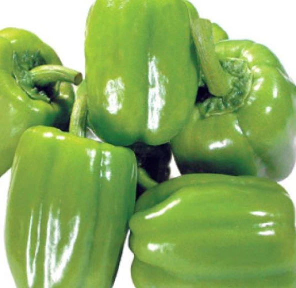 Yerli Ata Tohumu Dolma Biber 100 Adet ürün görseli 1