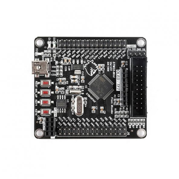 STM32F103RCT6 Gelistirme Kartı ARM STM32 32 Bit Arm Cortex M3 ürün görseli 1