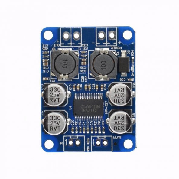 TPA3118 60W Mono Digital Ses Amfi Modül DC 12V-24V Tek Kanal Class D Amplifikatör Amfi Amplifier ürün görseli 1