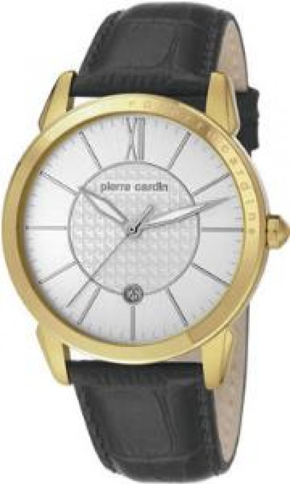 Pierre Cardin PC105911F05 Erkek Kol Saati ürün görseli 1