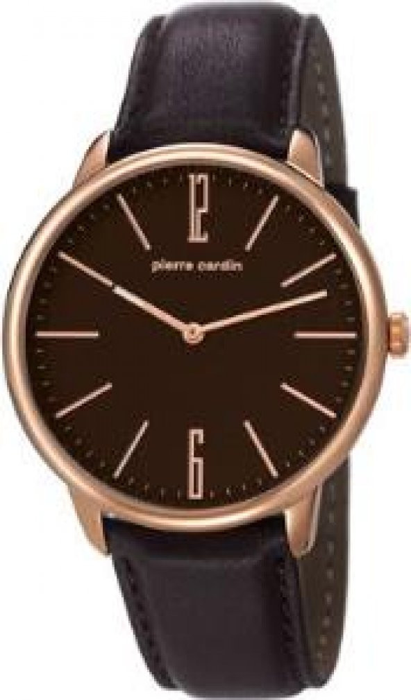 Pierre Cardin PC106991F05 Erkek Kol Saati ürün görseli 1