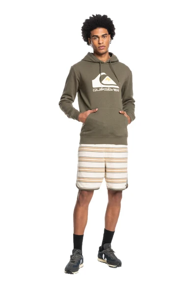 Quiksilver EQYFT04450 - Big Logo Hoodie Erkek Sweatshirt ürün görseli 1