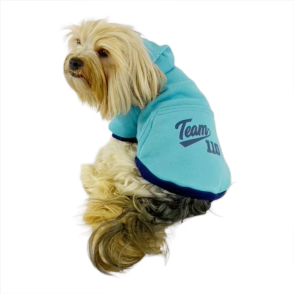 Kemique Team Sweatshirt Köpek Kıyafeti Köpek Elbisesi ürün görseli 1