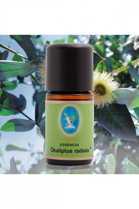 Defne Ökaliptus Radiata (organik) 5 ml Uçucu Yağ ürün görseli 1