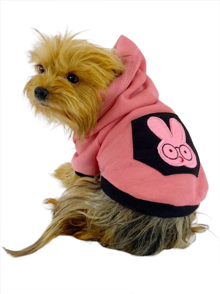 Student Rabbit Sweatshirt Köpek Kıyafeti Köpek Elbisesi ürün görseli 1