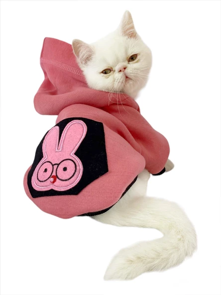 Student Rabbit Sweatshirt Kedi Kıyafeti Kedi Elbisesi ürün görseli 1