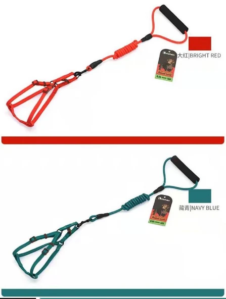 ANS 2000 Karışık Renk Fitil Gezdirmeli 1-7Kg Köpek Göğüs Tasması 0,6mm ürün görseli 1