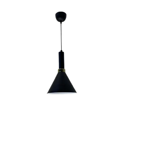Rsylight Retro Siyah Metal Dekoratif Tekli Kafe Mutfak Aydınlatma Avize Çap:23cm ürün görseli 1