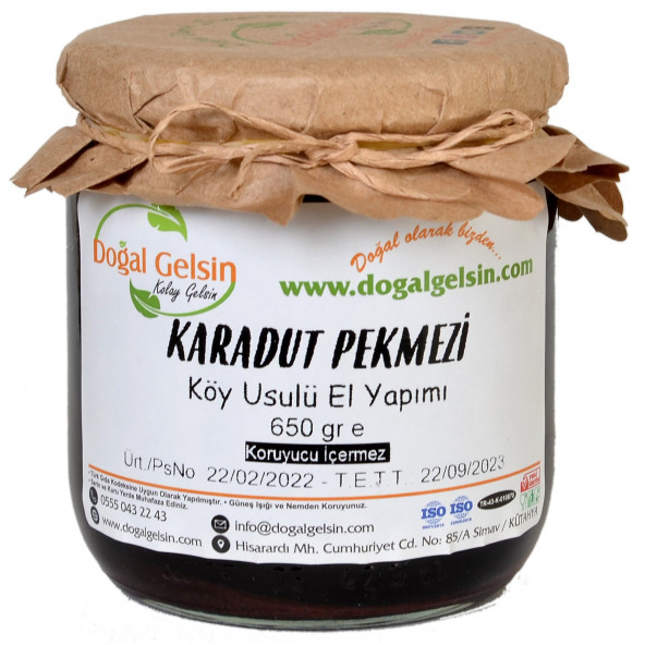 Doğal Gelsin Karadut Pekmezi - 650 gr ürün görseli 1