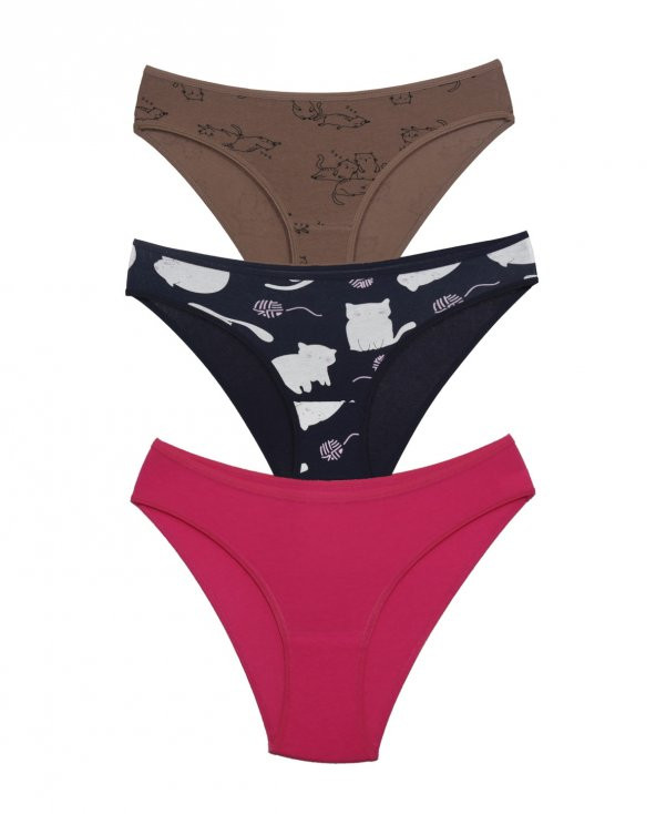 ASM1111 Kadın 3 lü Renkli Karışık Pamuklu Bikini Külot ürün görseli 1