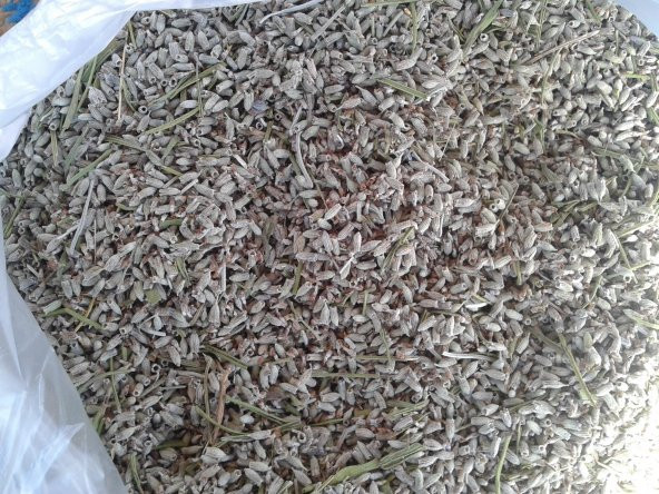 Doğal Lavanta Çiçeği Kurusu 50 Gr - Resim 2