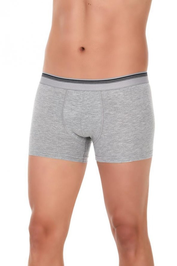 6 Adet Yıldız Erkek Likralı Formen Boxer Short Gri 367 ürün görseli 1