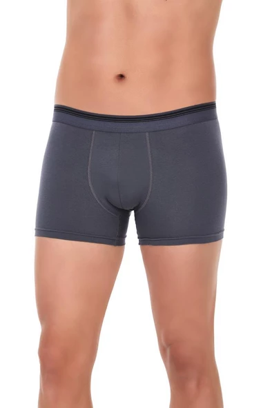 6 Adet Yıldız Erkek Likralı Formen Boxer Short Füme 369 ürün görseli 1