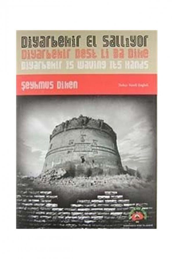 Diyarbakır El Sallıyor (ingilizce) ürün görseli 1