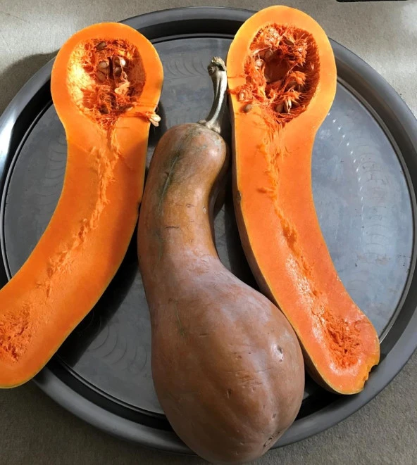 Yerli Ata Tohumu Ampul Bal Kabağı 5 Adet ürün görseli 1