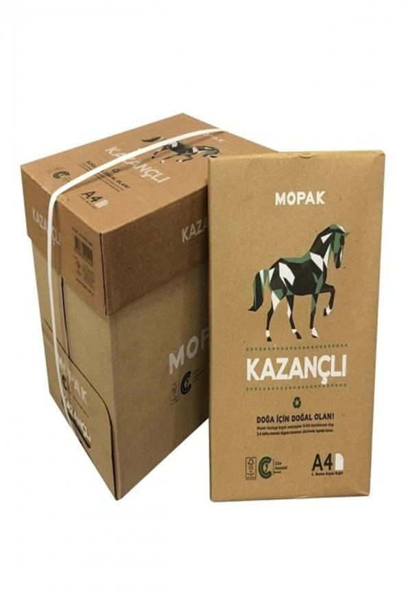Kazançlı A4 Fotokopi Kağıdı 80gr 5li Koli ürün görseli 1