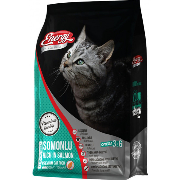 ENERGY SOMONLU YETİŞKİN KEDİ MAMASI 500 GR ürün görseli 1