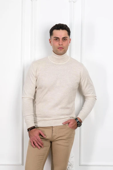 WOOLEN WORLD BOĞAZLI REGULAR FİT DESENLİ ERKEK KAZAK ürün görseli 1