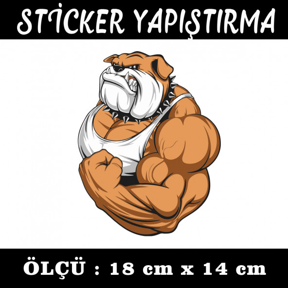 Bodyci bulldog sticker 2 ADET ürün görseli 1