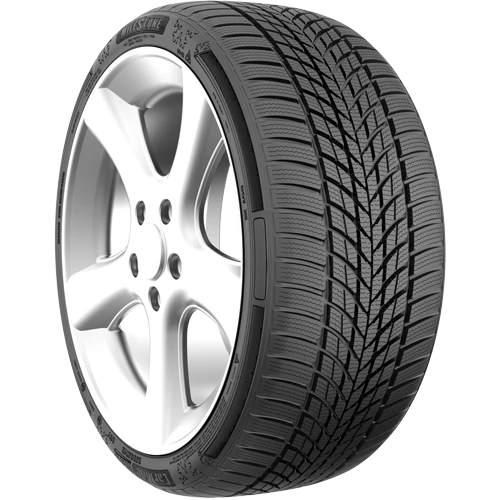 Milestone CarMile Winter 225/55 R17 101V Reinf. Kış Lastiği - 2025 ürün görseli 1