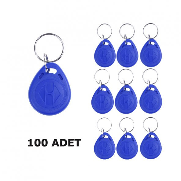 Wozlo Chip TK4100 Tag Göstergeç Proximity Manyetik Anahtarlık 100 Adet ürün görseli 1