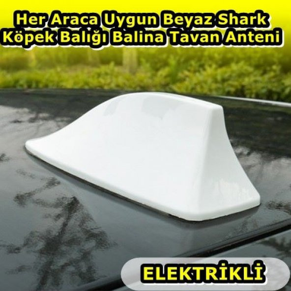 POINT MARKETING Her Araca Uygun Beyaz Shark Köpek Balığı Balina Tavan Anteni ürün görseli 1