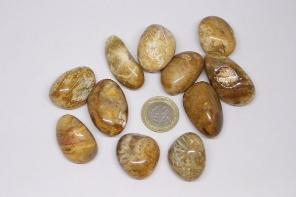 Tibet Akik Taşı ( 20-29 Gram) - Resim 2