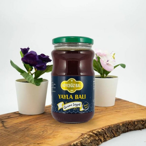 Kb Köyceğiz Balı Yayla Balı 450 G Cam Kavanoz ürün görseli 1
