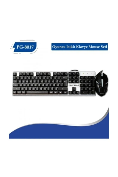 ALKILIÇ Işıklı Oyuncu Klavye Ve Mouse Seti Gaming Set Pg 8017 - Resim 4