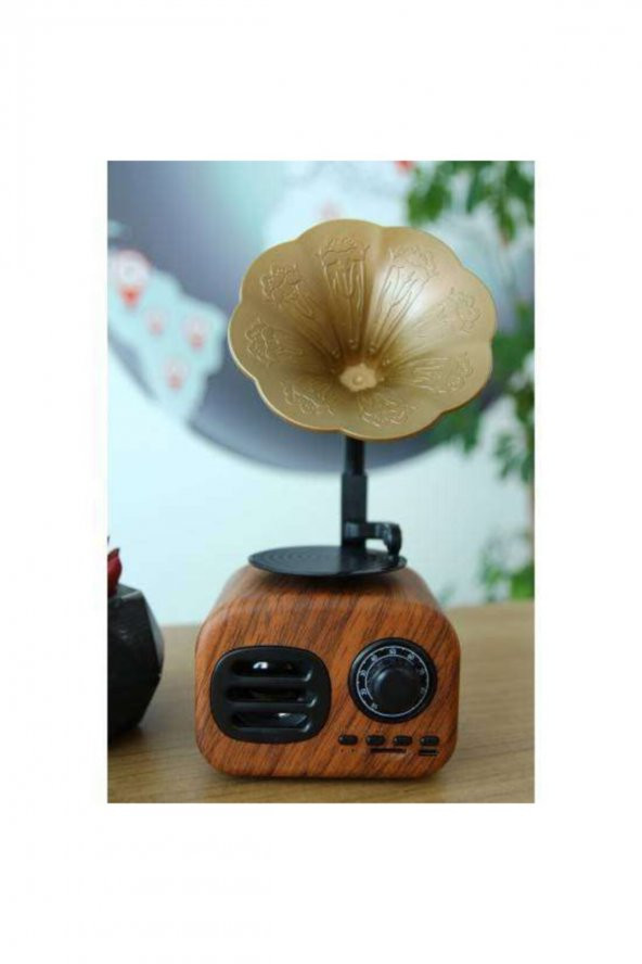 B5 Nostaljik Mini Retro Dizayn Gramafon Radyo Usb Aux Bluetooth Radyo ürün görseli 1