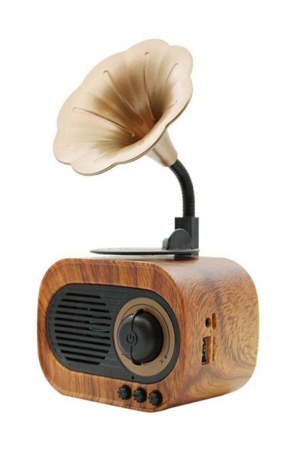 POLYGOLD B5 Nostaljik Mini Radyo Gramofon Bluetooth/radyo/usb/sd Speaker B5t ürün görseli 1