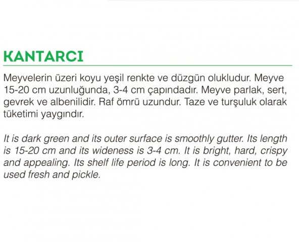 ATA TOHUMU YERLİ DOĞAL KARA ACUR KANTARCI 100 ADET TOHUM ürün görseli 1