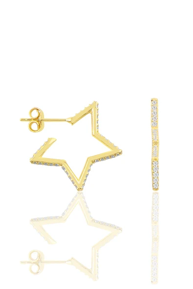 Gümüş altın yaldızlı zirkon taşlı star küpe SGTL11859GOLD ürün görseli 1
