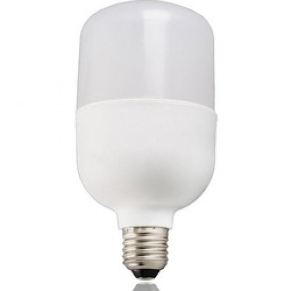Wınlıght 20 Watt Led Torch Ampul ürün görseli 1