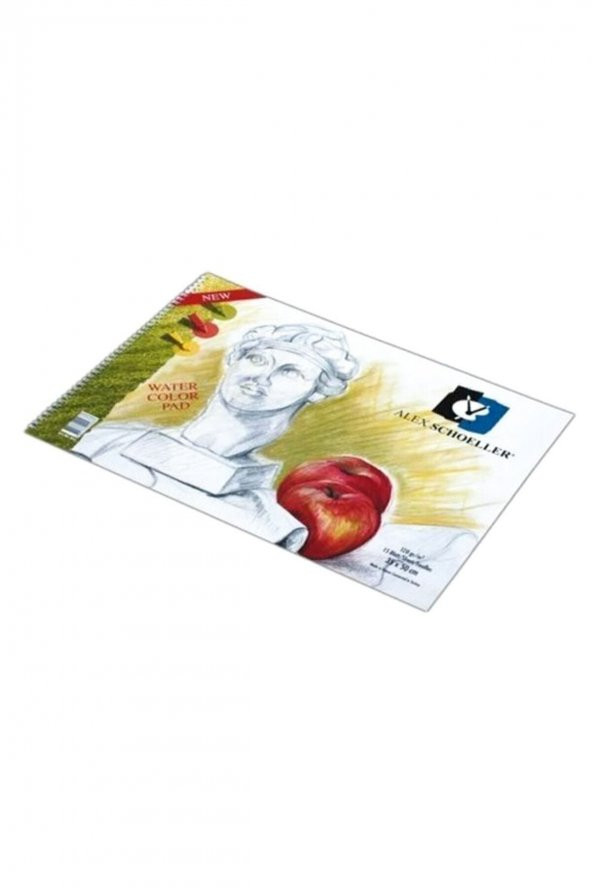 Alex Schoeller Resim Defteri Spiralli 35 X 50 120 Gr 15 Yaprak ürün görseli 1