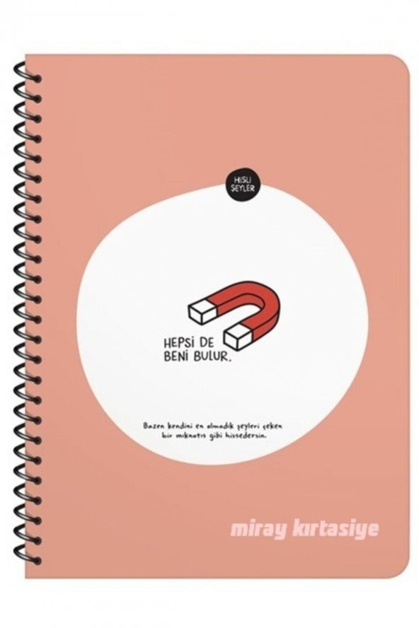 Hisli Şeyler 16.5x22.5 Kareli Defter - Hepsi De Beni Bulur ürün görseli 1