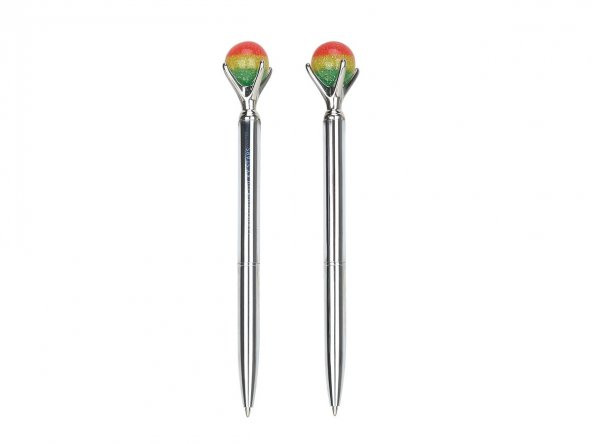 Future Step Rainbow Metal Ballpen 3007 ürün görseli 1