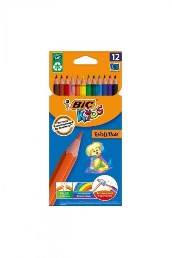 Bic 37 Parça Dikkat Geliştirici Boyama Seti - Resim 4