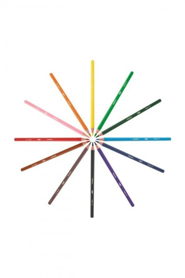 Bic Kids Evolution Kuru Boya Kalemi 36lı Metal Tüp - Resim 2