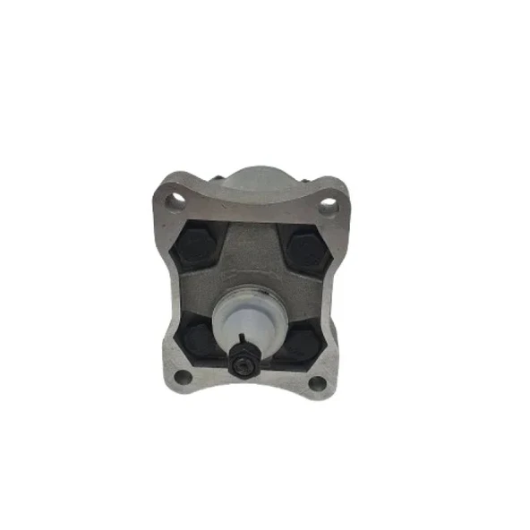 Hidrolik Dişli Pompa Sağ Dönüş C 1.23Cc - 2.45Lt - Resim 2