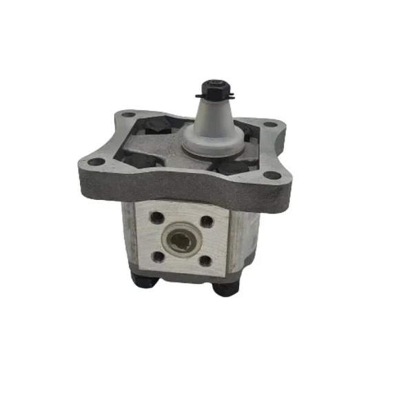 Hidrolik Dişli Pompa Sağ Dönüş C 1.23Cc - 2.45Lt ürün görseli 1