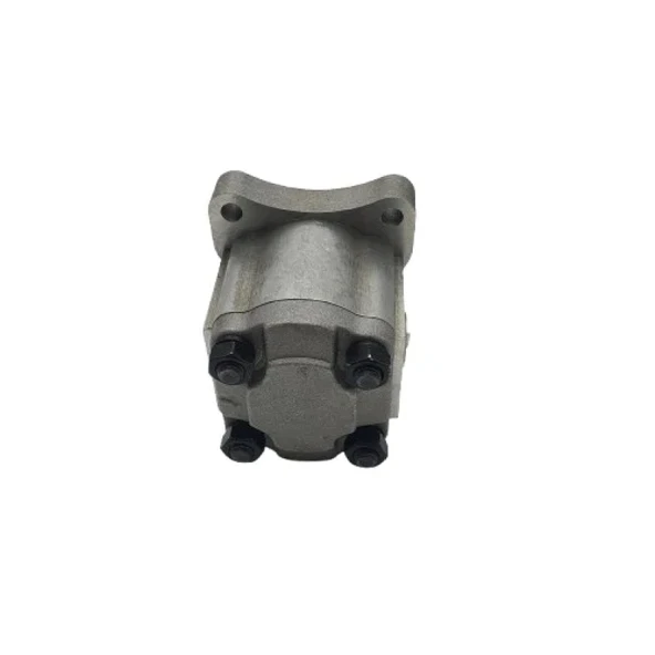 Hidrolik Dişli Pompa Sağ Dönüş C 1.23Cc - 2.45Lt - Resim 4