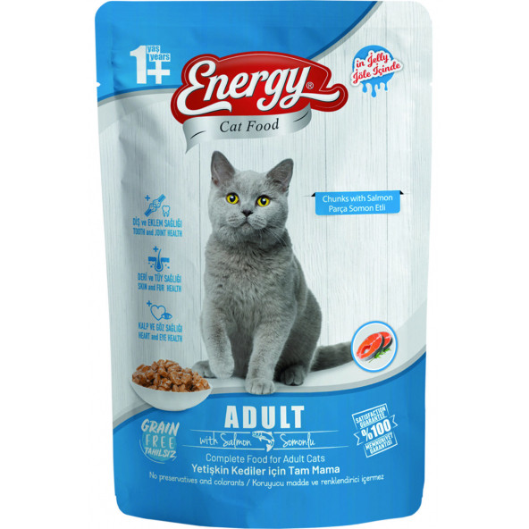 ENERGY SOMONLU YETİŞKİN ISLAK KEDİ MAMASI POUCH 85 GR 24 ADET ürün görseli 1