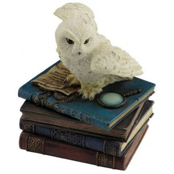 WISE Veronese Serisi-Wise Mücevher Kutusu-BAYKUS KUTU-10*9*12 CM. ürün görseli 1