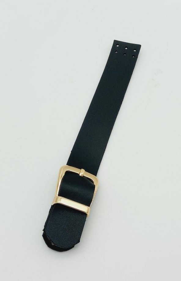Angel Çanta Aksesuar Tek Kat 18 Cm Suni Deri Siyah Kapak Light Gold Metal ürün görseli 1