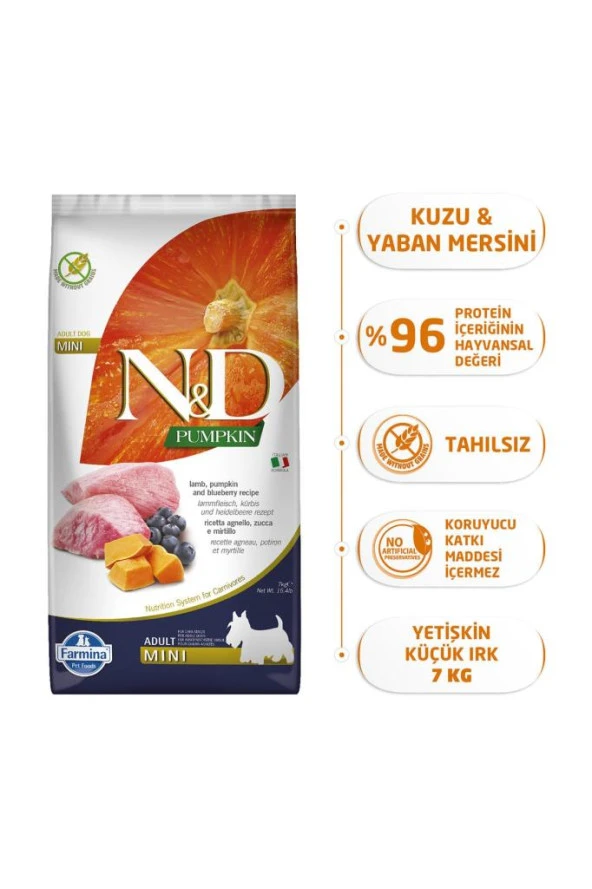 N&D Tahılsız Balkabak Kuzu Yaban Mersinli Küçük Irk Yetişkin Köpek Maması - 7 Kg ürün görseli 1