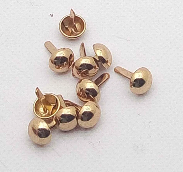 Angel Çanta Aksesuar 10Lu Light Gold Kabara Yuvarlak Model ürün görseli 1
